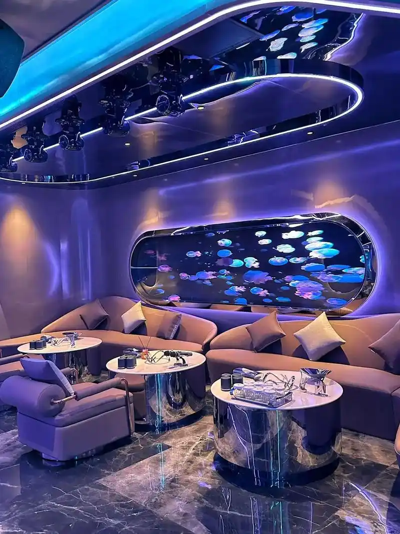 沧州商务ktv价格多少钱一个小时-沧县ktv预订